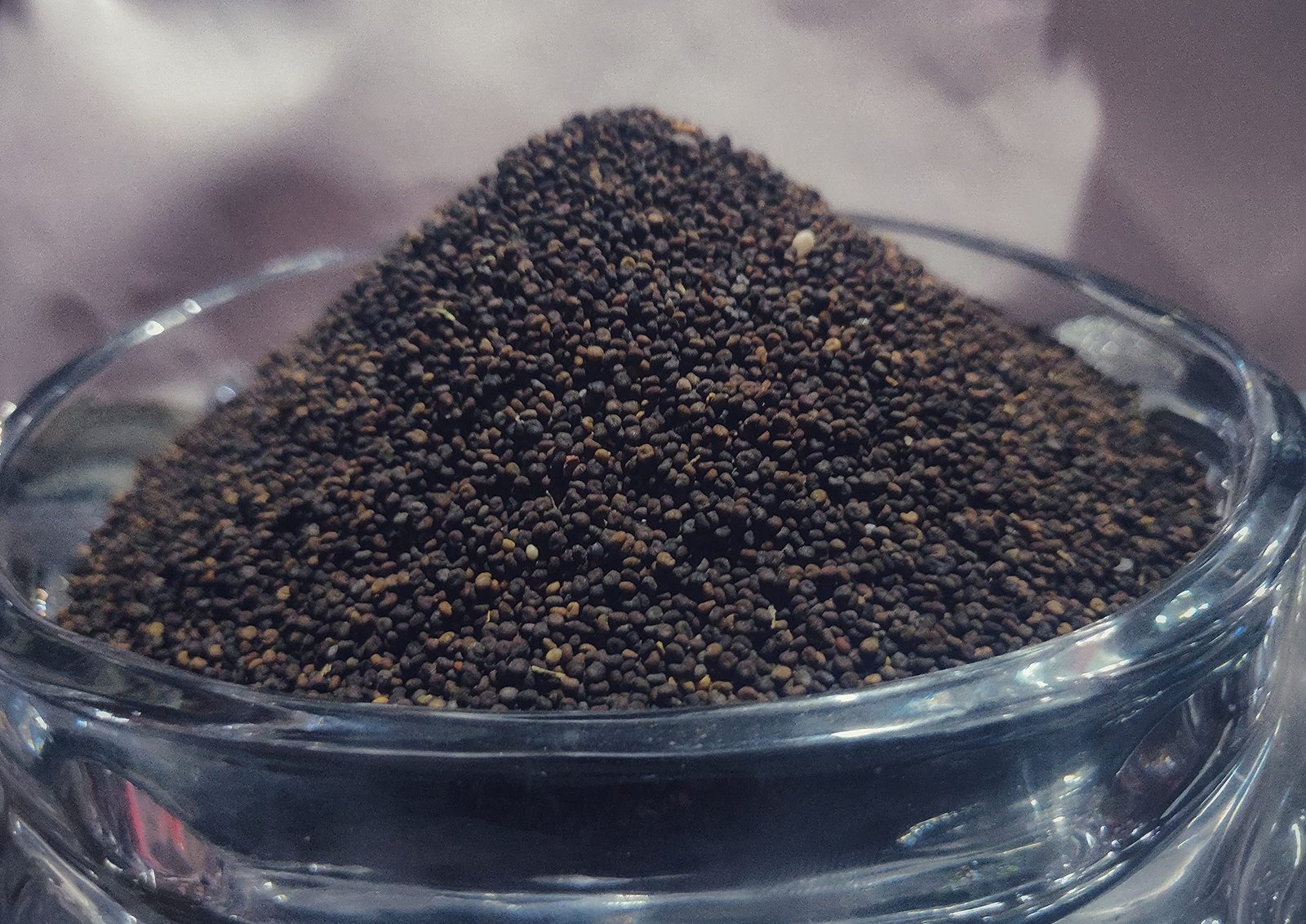 What is Jakhya? A Complete Guide to This Unique Spice