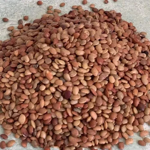Why Gahat is a Superfood from the Hills
