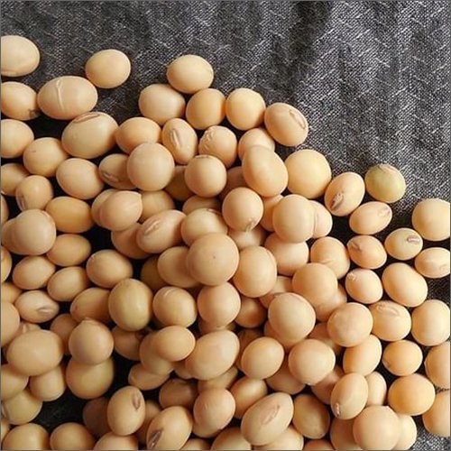 Why Bhatt is Popular in Pahadi Cuisine